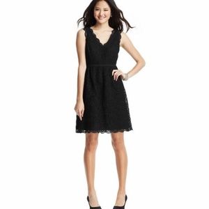 Ann Taylor Loft Scalloped Lace Dress, size 2